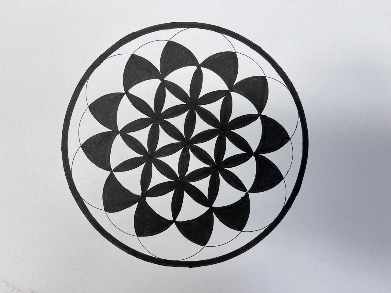 1709191210723676.jpg 1709191210723676.jpg